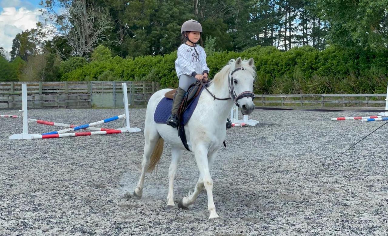 Unique Equestrian Lifestyle Bed & Breakfast Tamahere Dış mekan fotoğraf