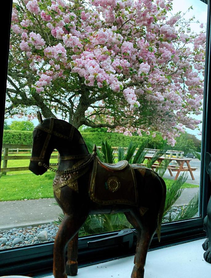 Unique Equestrian Lifestyle Bed & Breakfast Tamahere Dış mekan fotoğraf