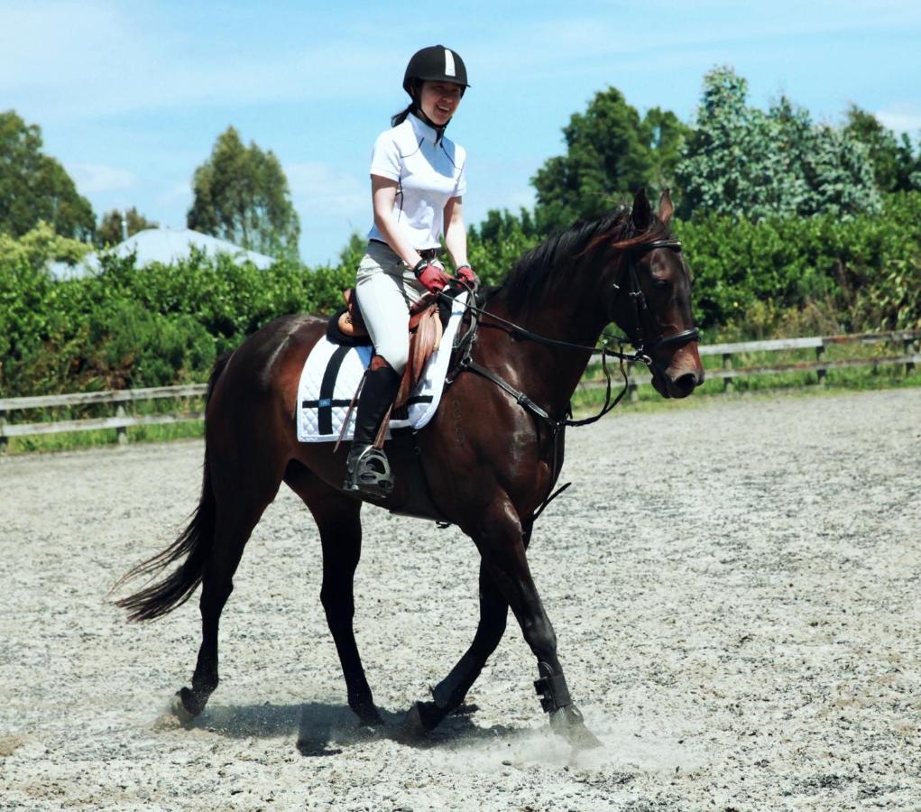 Unique Equestrian Lifestyle Bed & Breakfast Tamahere Dış mekan fotoğraf