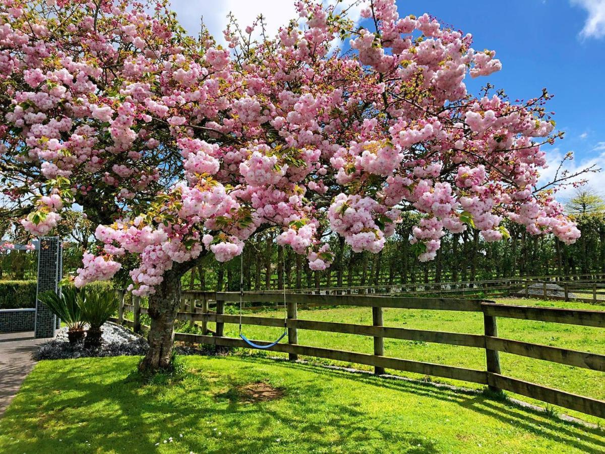 Unique Equestrian Lifestyle Bed & Breakfast Tamahere Dış mekan fotoğraf