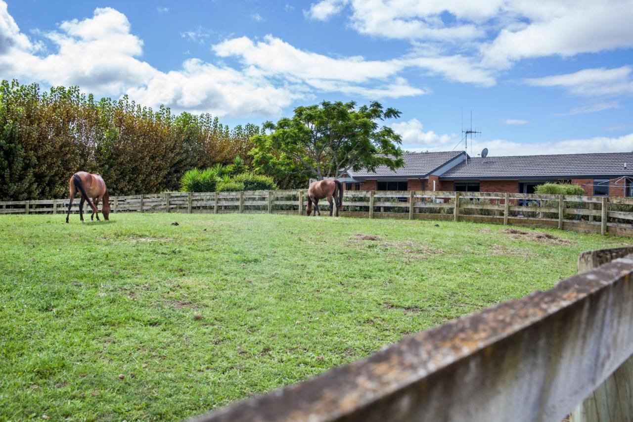 Unique Equestrian Lifestyle Bed & Breakfast Tamahere Dış mekan fotoğraf
