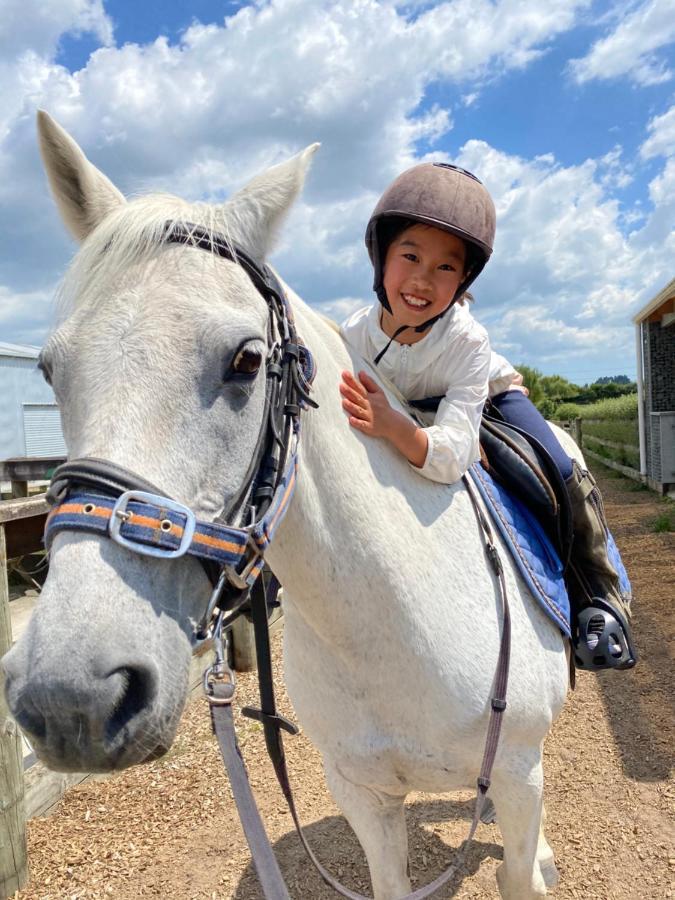 Unique Equestrian Lifestyle Bed & Breakfast Tamahere Dış mekan fotoğraf